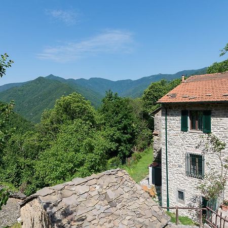 Ponte della Venturina La Casa Nel Bosco-Senza Auto旅馆 外观 照片