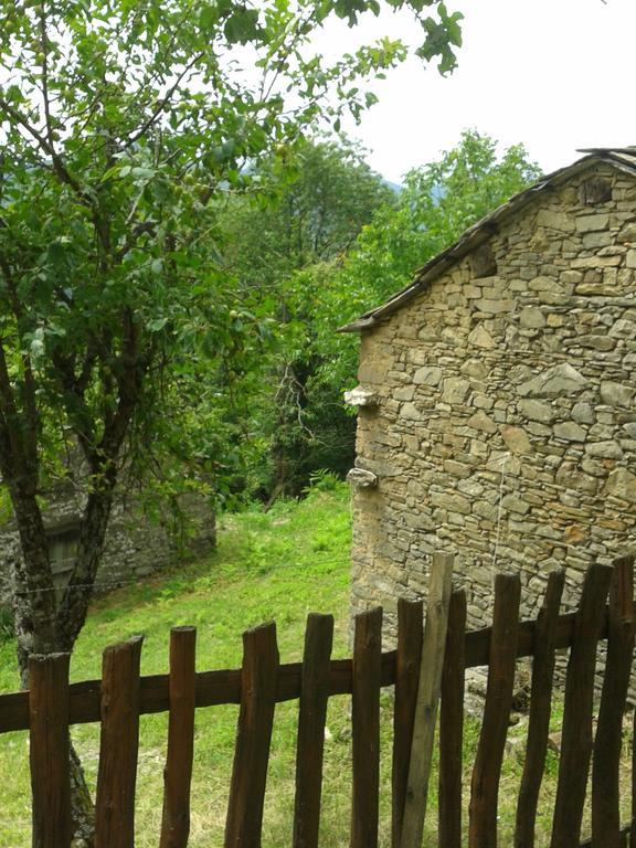 Ponte della Venturina La Casa Nel Bosco-Senza Auto旅馆 客房 照片