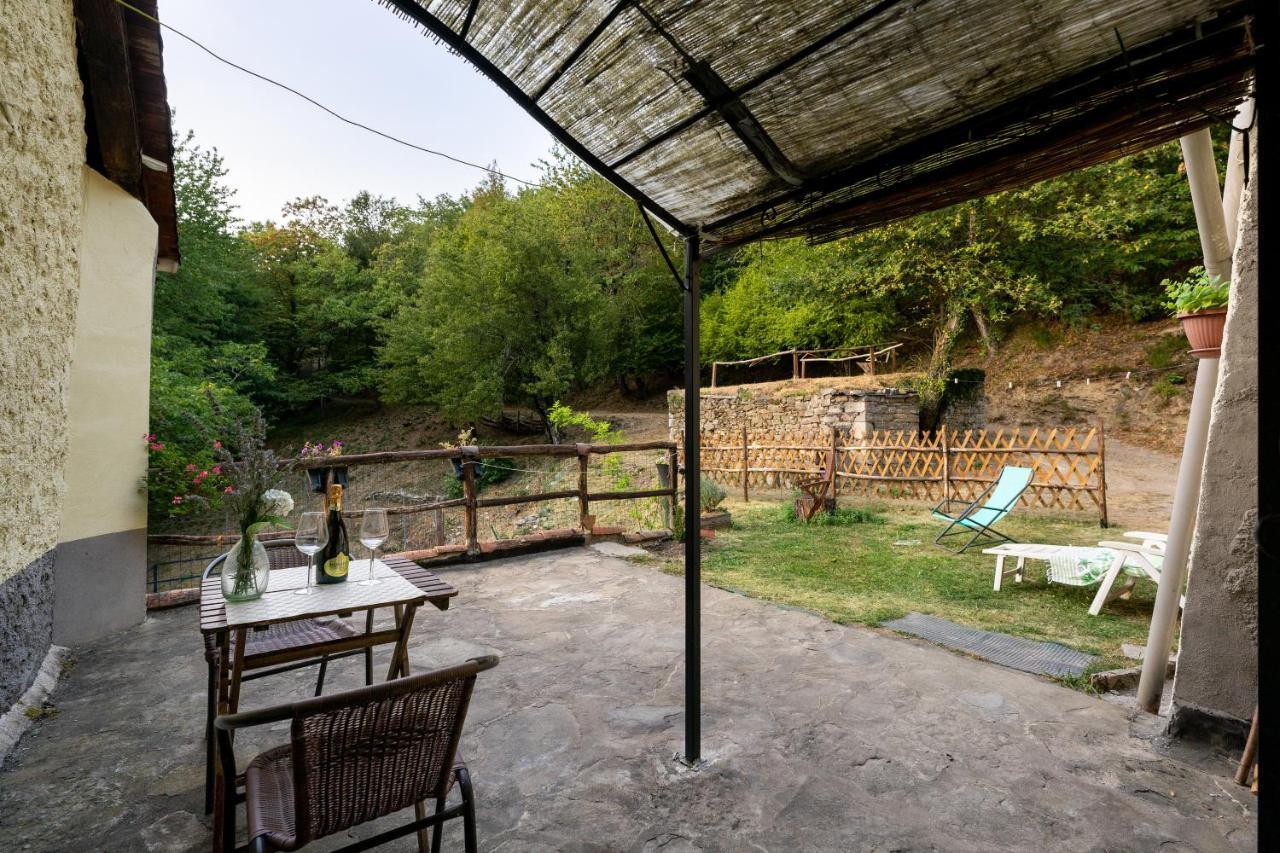 Ponte della Venturina La Casa Nel Bosco-Senza Auto旅馆 外观 照片