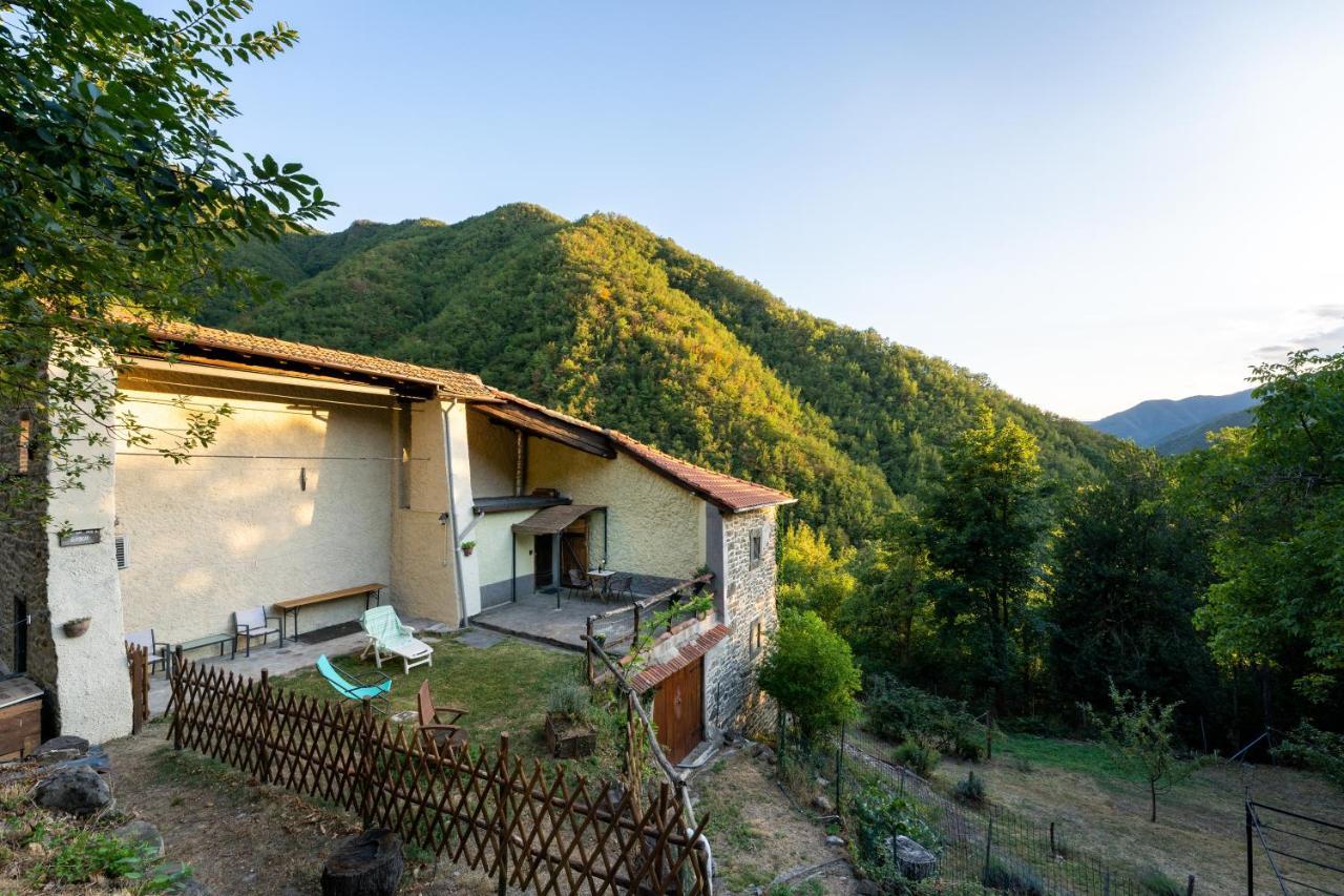 Ponte della Venturina La Casa Nel Bosco-Senza Auto旅馆 外观 照片