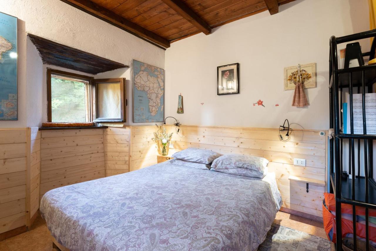Ponte della Venturina La Casa Nel Bosco-Senza Auto旅馆 外观 照片