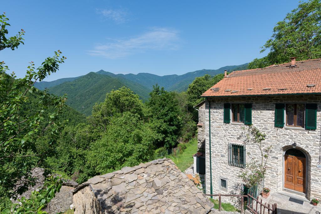 Ponte della Venturina La Casa Nel Bosco-Senza Auto旅馆 外观 照片