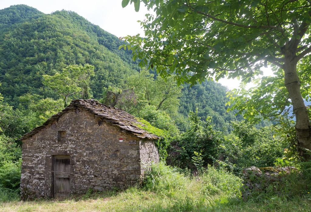 Ponte della Venturina La Casa Nel Bosco-Senza Auto旅馆 外观 照片