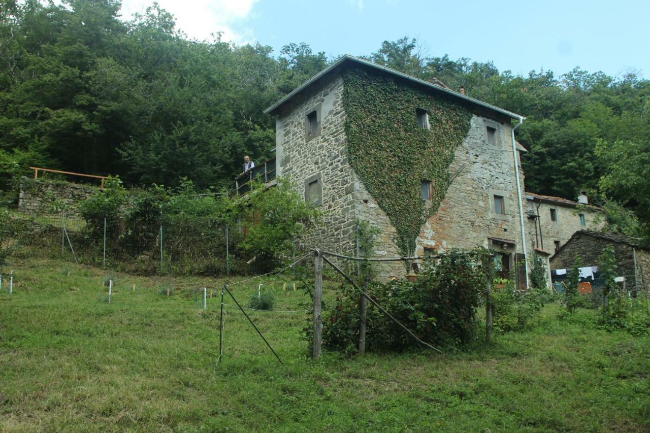 Ponte della Venturina La Casa Nel Bosco-Senza Auto旅馆 外观 照片